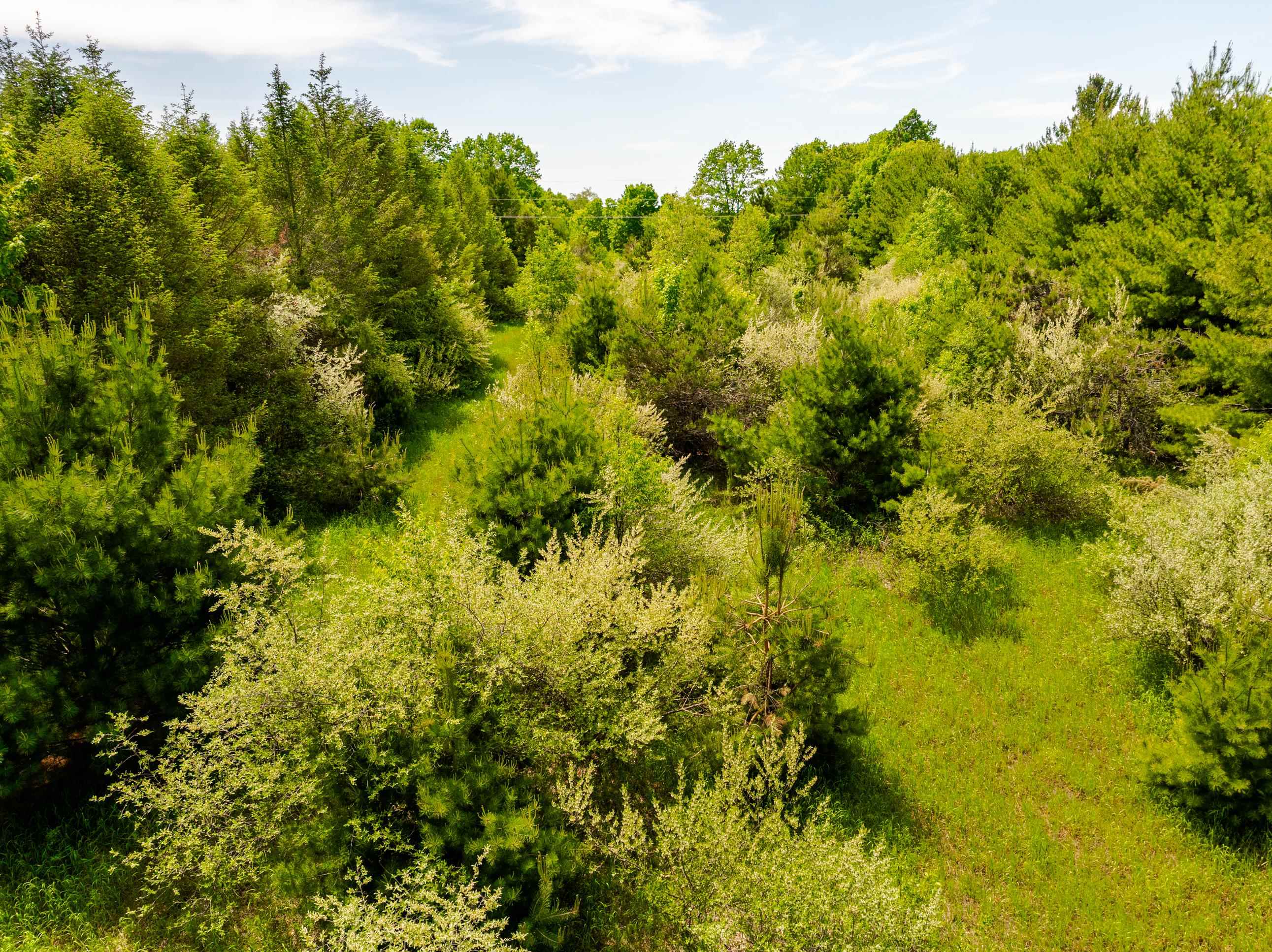 Tbd Traverse Road Thompsonville, MI 49683 - Photo 6 of 40