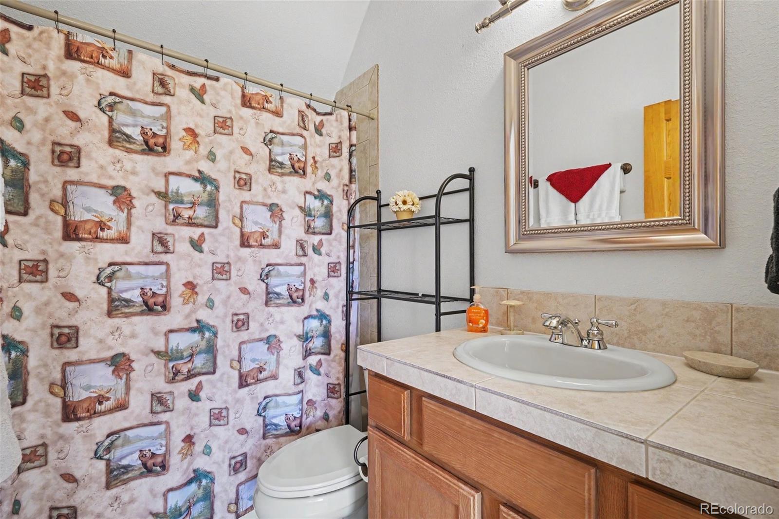 541 Warpath Road Como, CO 80432 - Photo 20 of 27