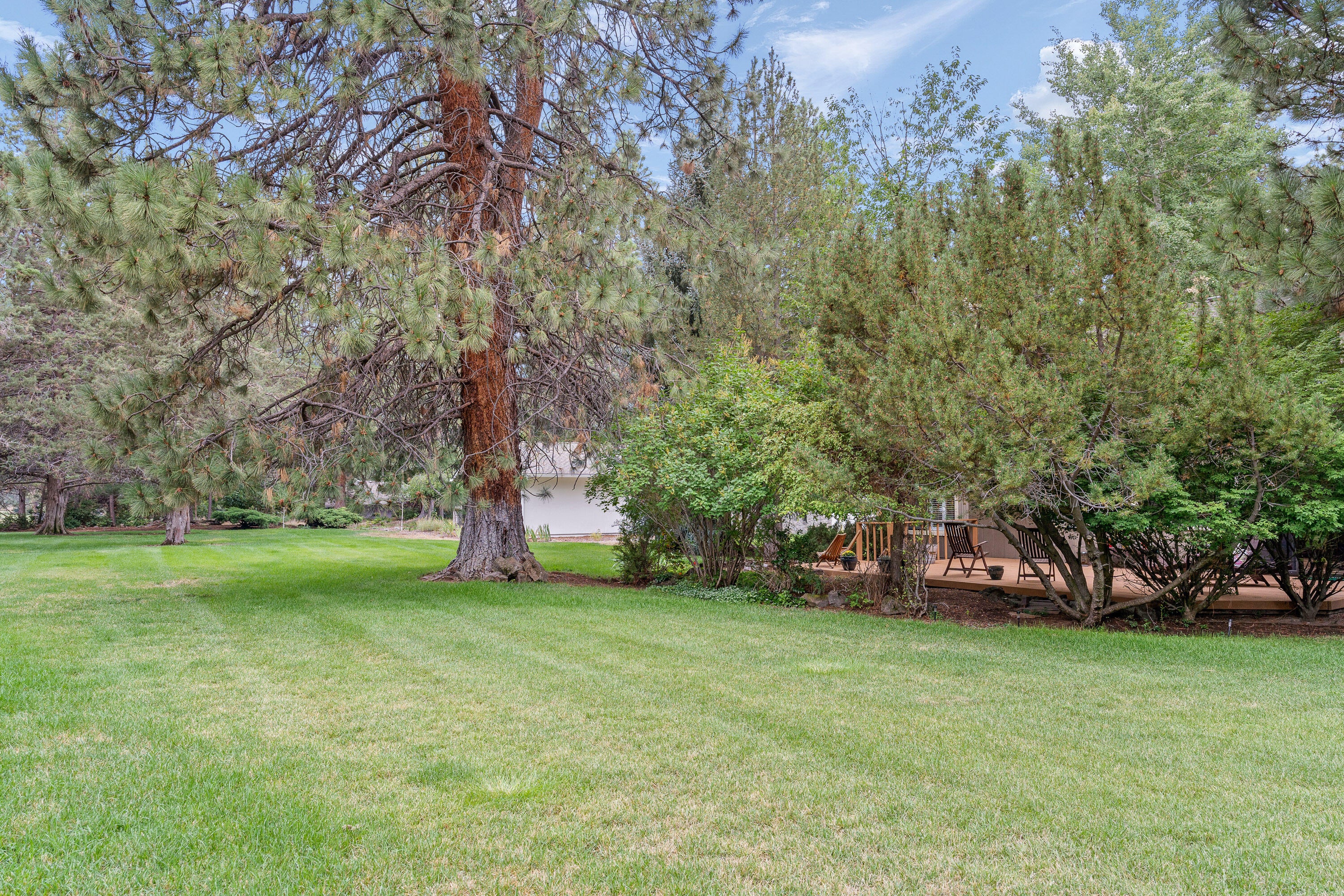 20423 Bullblock Road Bend, OR 97702 - Photo 10 of 42 DSC02701