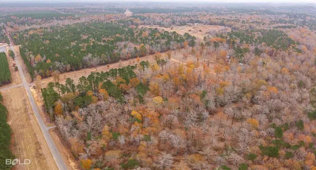 an aerial view of residential houses with outdoor space and trees