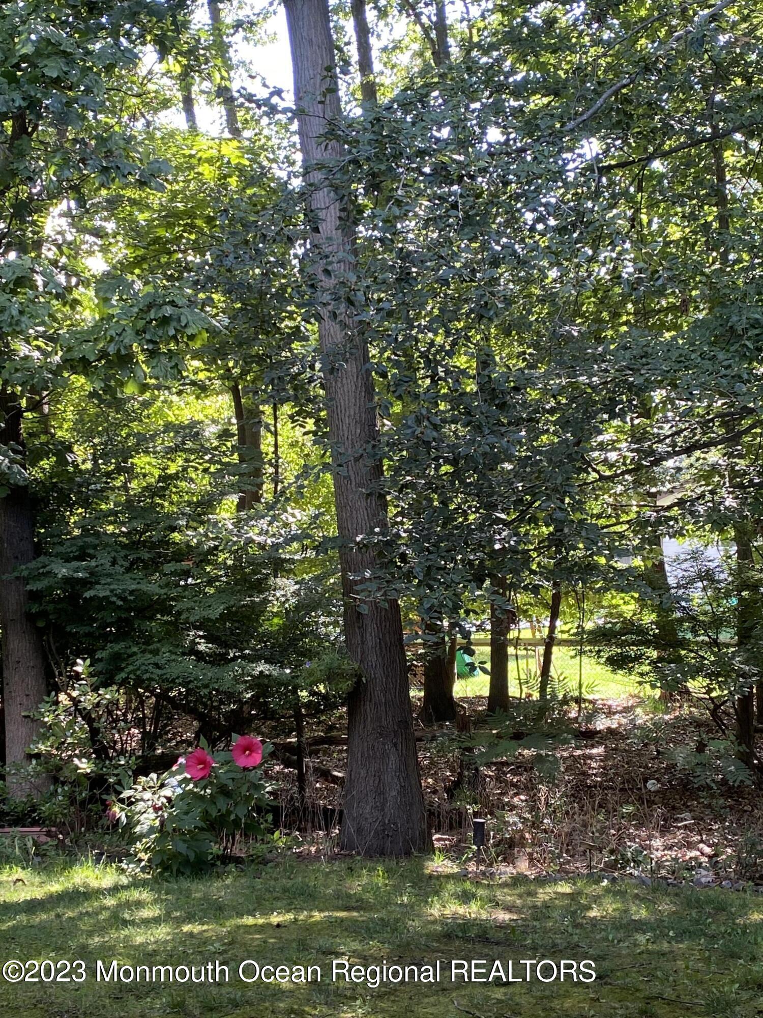 91 Arrowood Road, Unit E Manalapan, NJ 07726 - Photo 2 of 8