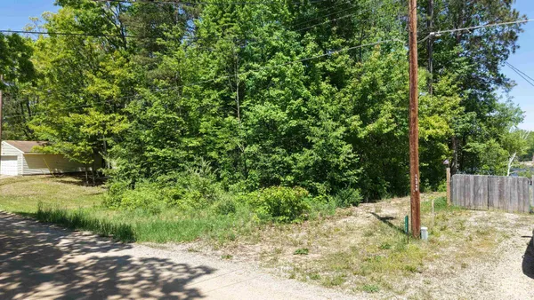$27,900 | Lot 35 Alpine Drive, Lake, MI 48632