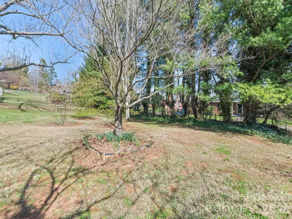 a view of dirt yard with a trees
