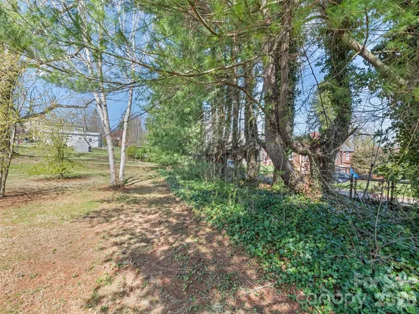 a view of a yard with plants and trees