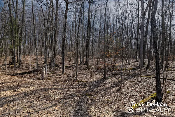 $134,700 | 9310 Benjamin Drive, Newaygo, MI 49337