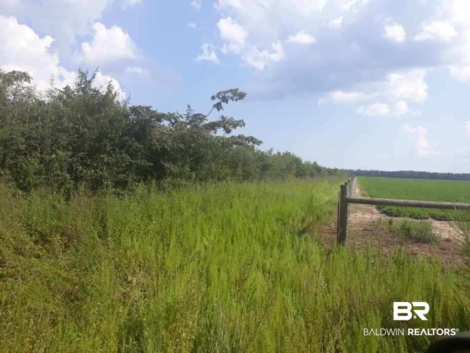 B B Penton Road Milton, FL 32570 - Photo 1 of 6