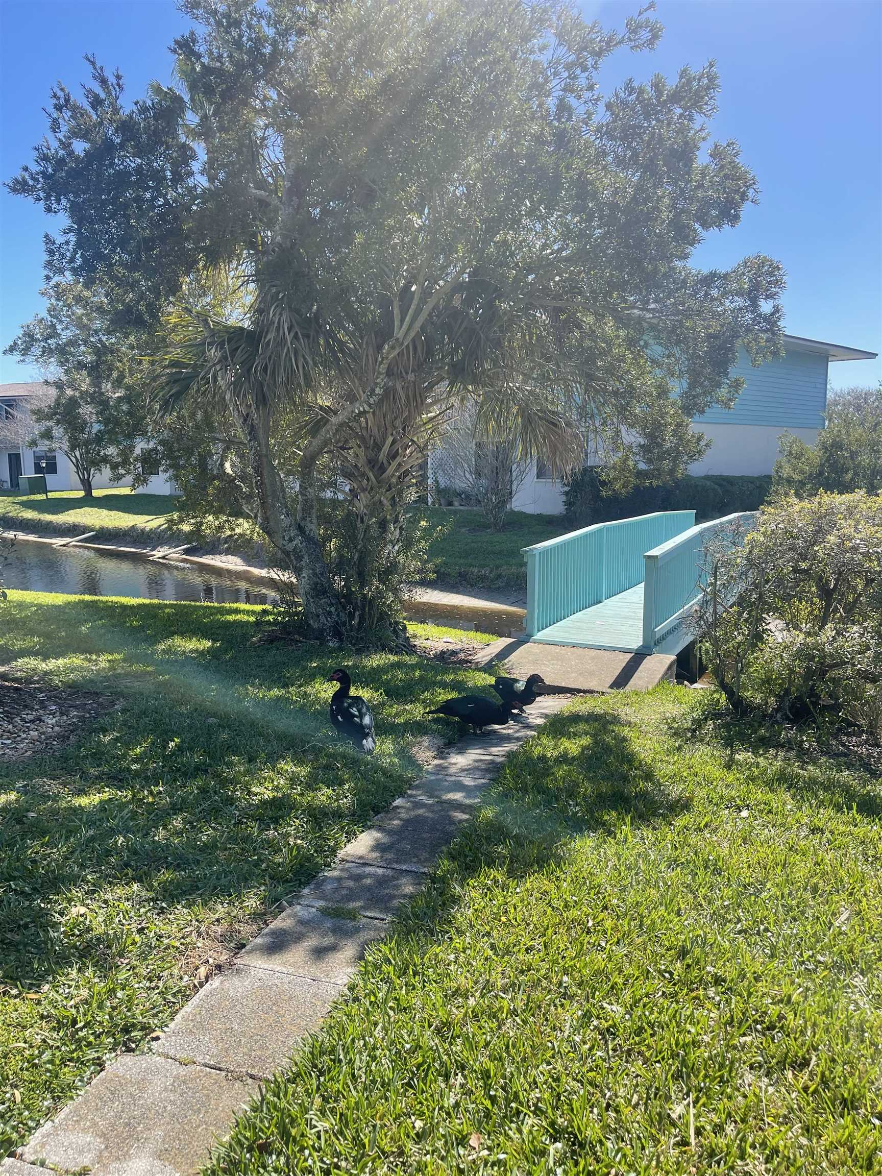 650 West Pope Road, Unit 276 St. Augustine, FL 32080 - Photo 5 of 15 a backyard of a house with a yard and outdoor seating