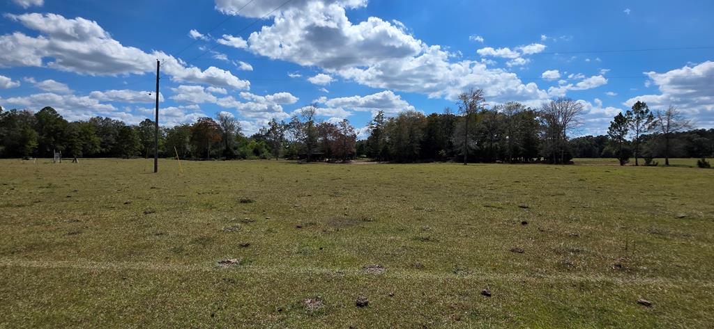 5.8-acres Nobles Road Cottonwood, AL 36320 - Photo 24 of 29