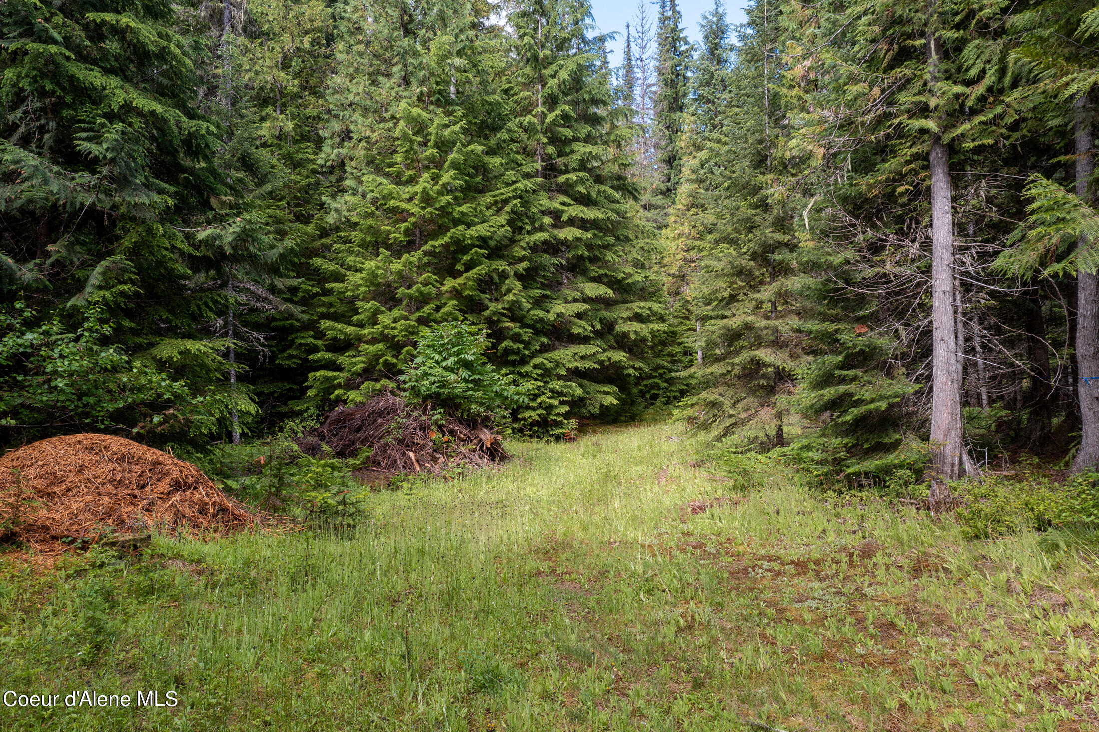 Nna Beaver Creek Road Wallace, ID 83873 - Photo 12 of 57 DJI_0718-HDR-7