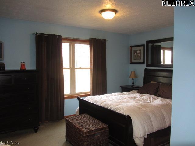3859 Dawley Road Ravenna, OH 44266 - Photo 10 of 19 Master bedroom has master bath with shower.