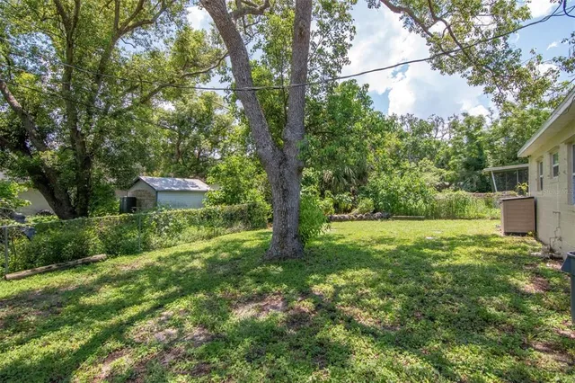 a view of a big yard with plants and large trees