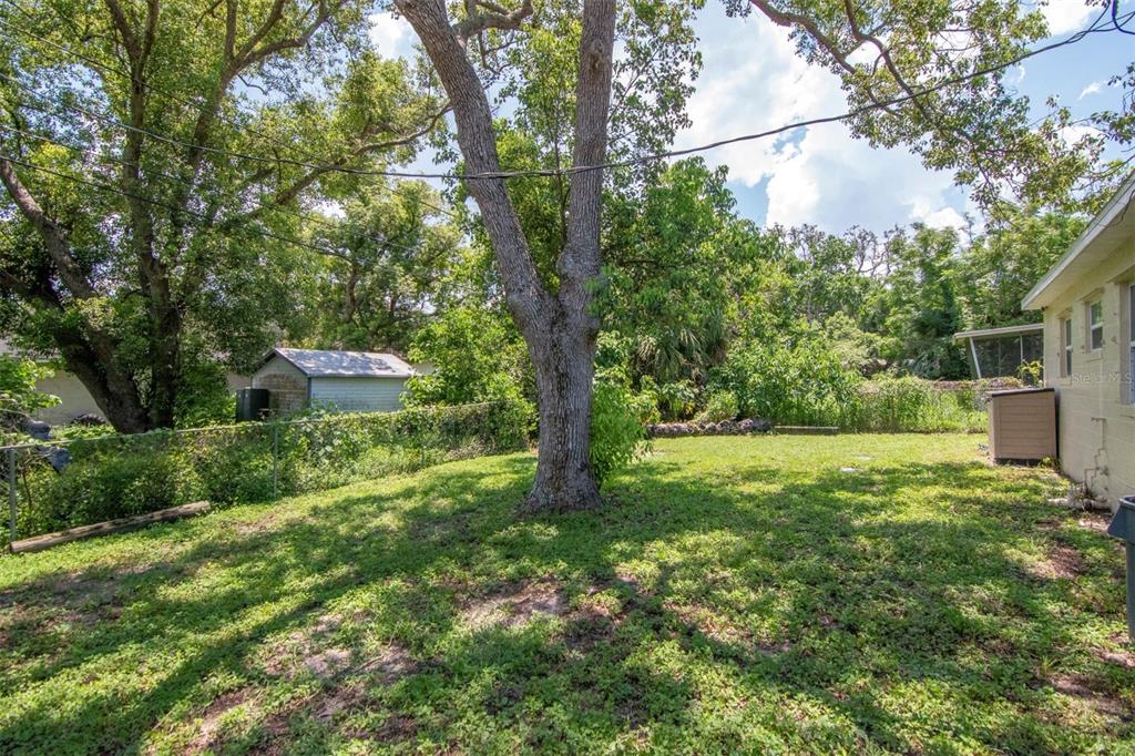7148 Ramor Lane New Port Richey, FL 34653 - Photo 23 of 26 a big yard with lots of green space and plants