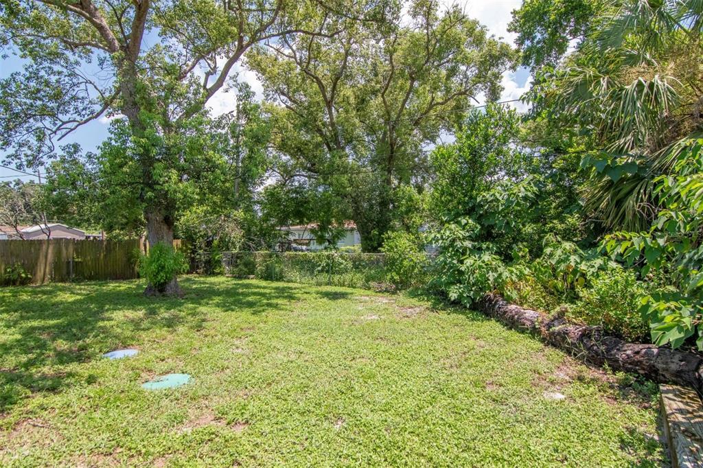 7148 Ramor Lane New Port Richey, FL 34653 - Photo 24 of 26 a view of a big yard with plants and large trees