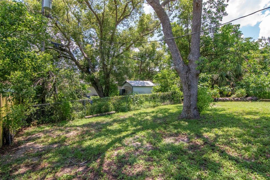 7148 Ramor Lane New Port Richey, FL 34653 - Photo 25 of 26 a view of a tree in the middle of a yard