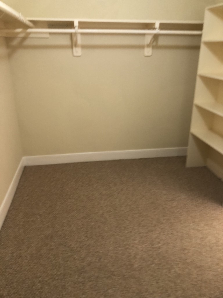 4100 Blossom Street Houston, TX 77007 - Photo 14 of 15