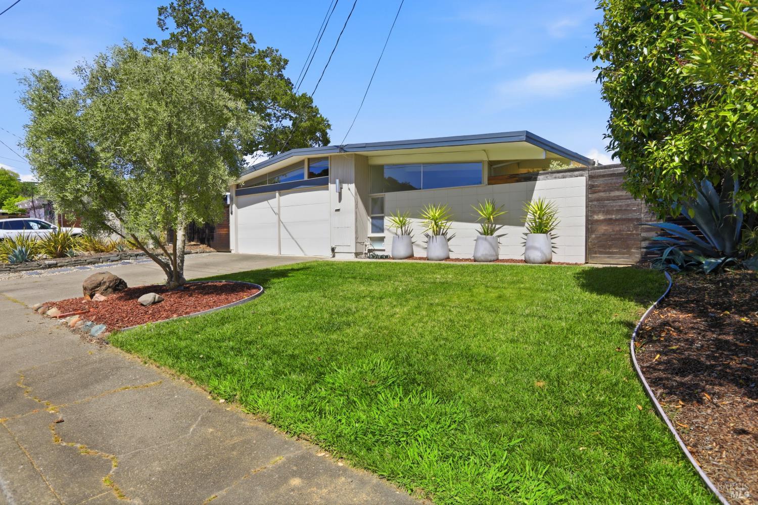 a view of a house with backyard and a tree