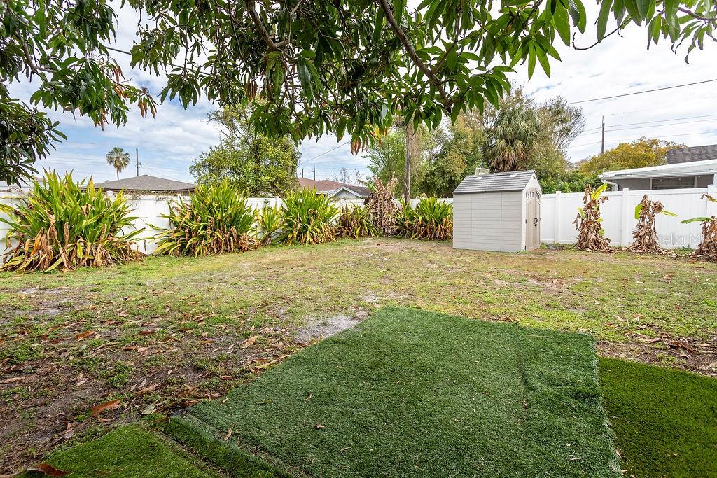 2909 West Dewey Street Tampa, FL 33607 - Photo 21 of 25 a view of a garden with a house