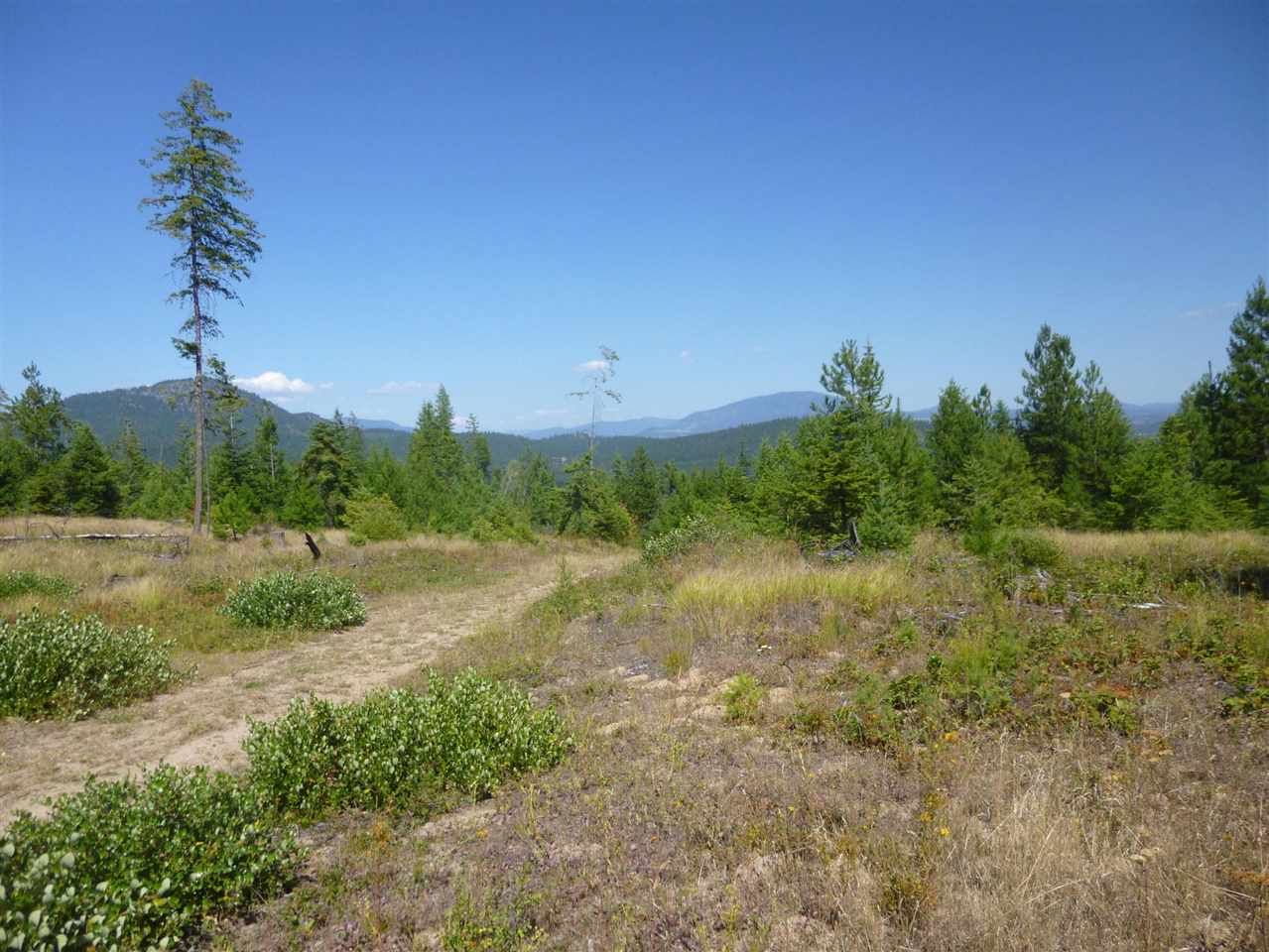 965 Orin-Rice Road Colville, WA 99114 - Photo 1 of 9
