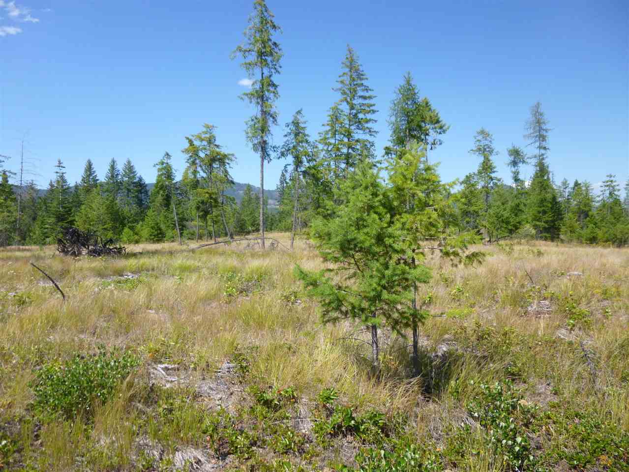 965 Orin-Rice Road Colville, WA 99114 - Photo 2 of 9