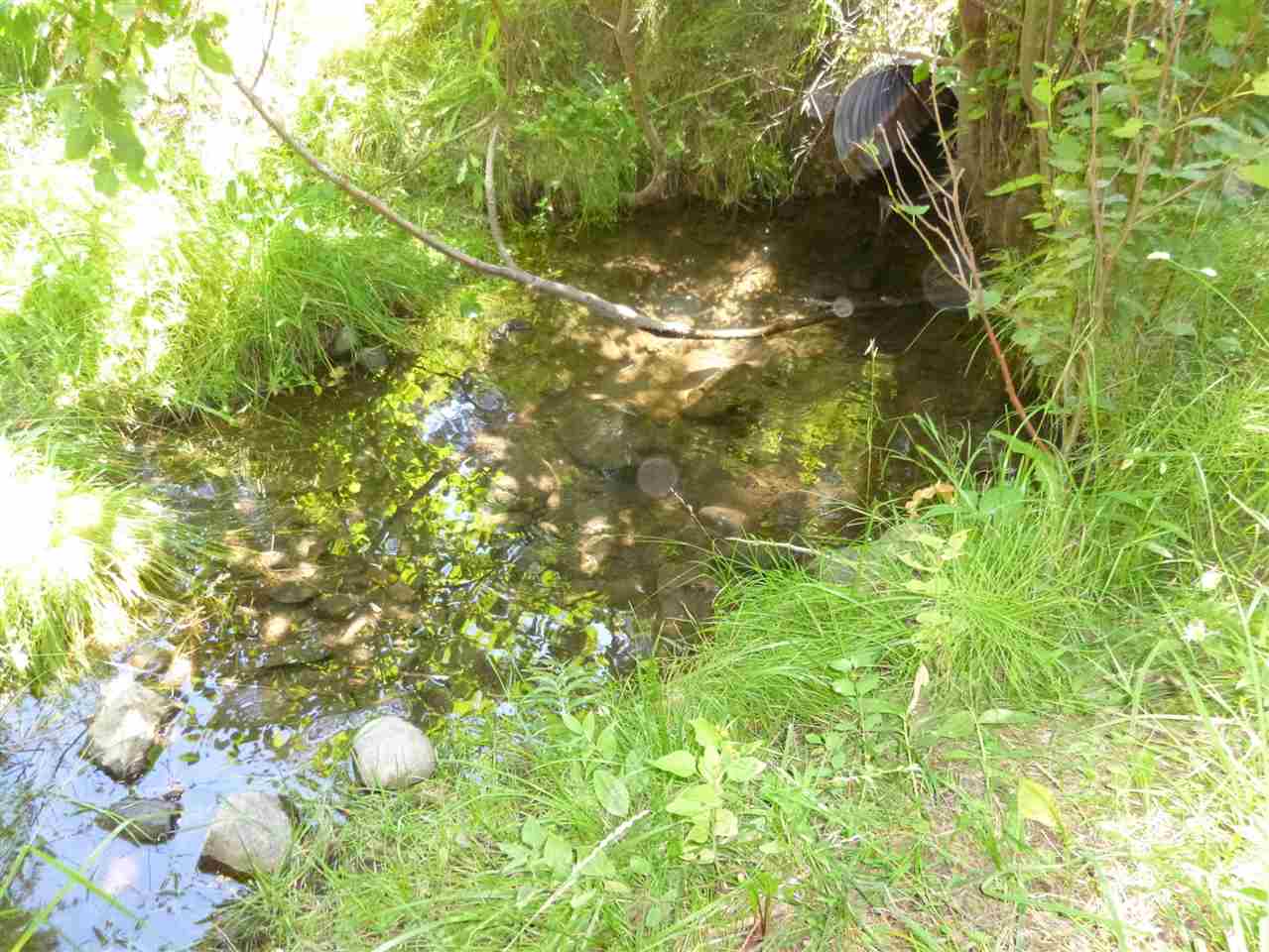965 Orin-Rice Road Colville, WA 99114 - Photo 3 of 9