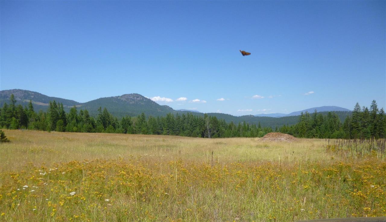 965 Orin-Rice Road Colville, WA 99114 - Photo 4 of 9