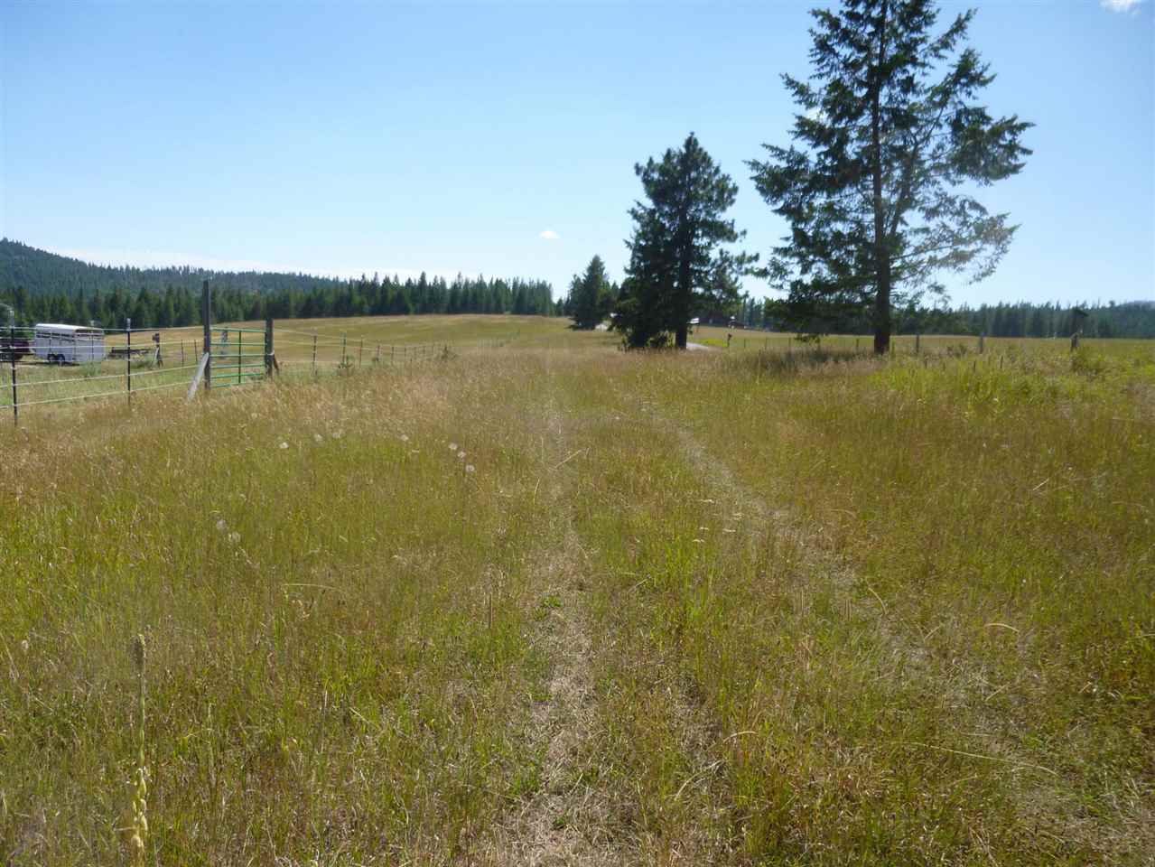 965 Orin-Rice Road Colville, WA 99114 - Photo 5 of 9
