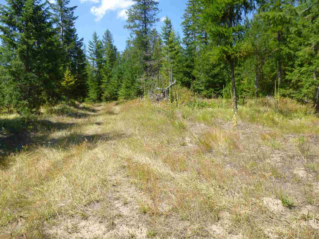 965 Orin-Rice Road Colville, WA 99114 - Photo 6 of 9