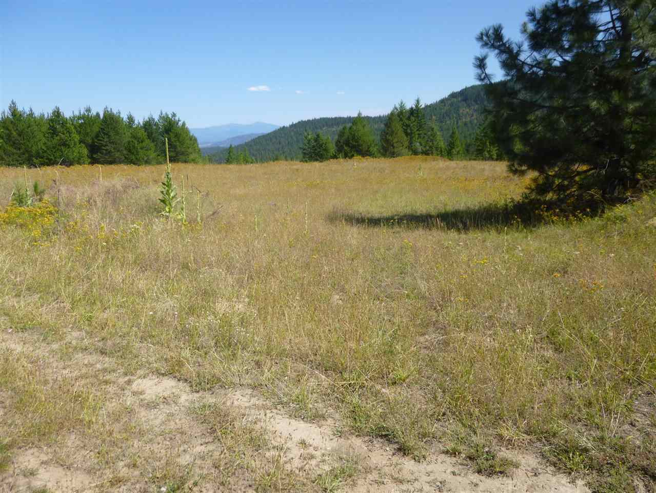 965 Orin-Rice Road Colville, WA 99114 - Photo 8 of 9