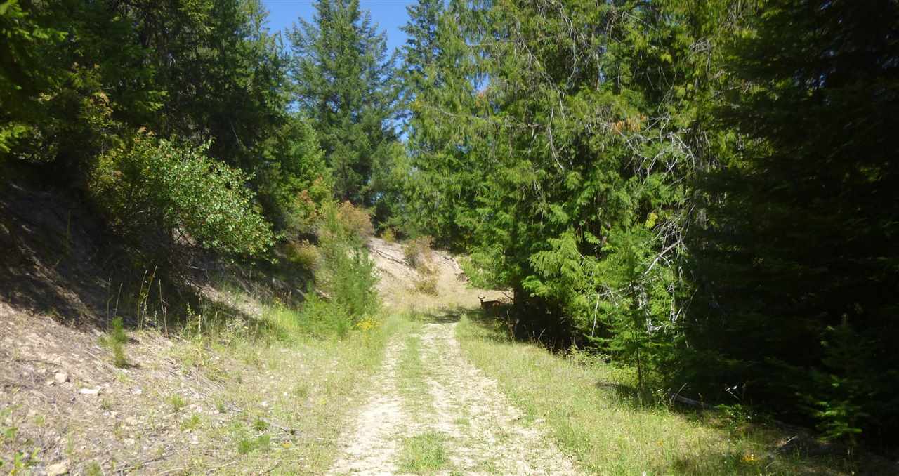 965 Orin-Rice Road Colville, WA 99114 - Photo 9 of 9