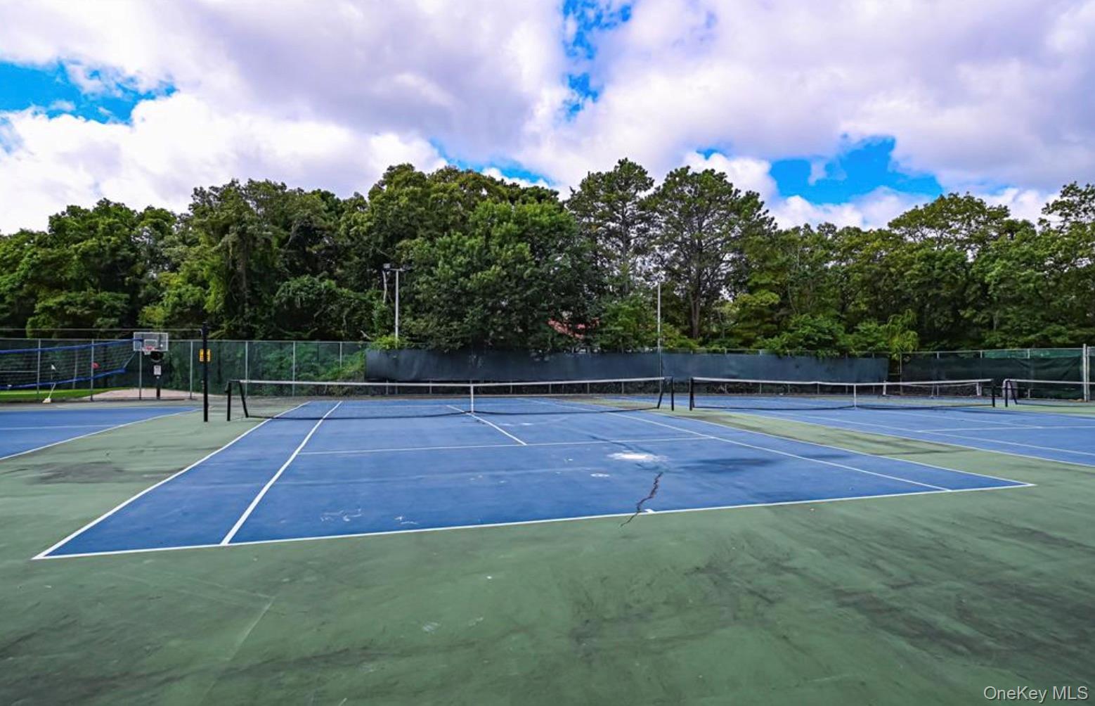 754 Blue Ridge Drive Medford, NY 11763 - Photo 38 of 47