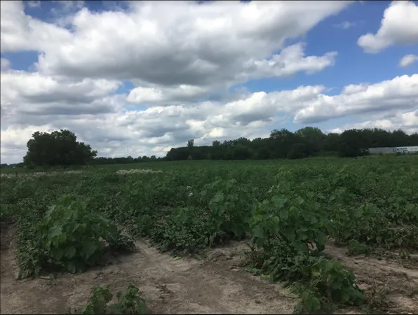 $1,041,085 | Lot 1 Koppie Road, Gilberts, IL 60136