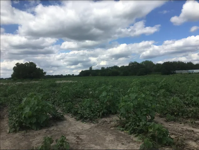 $1,041,085 | Lot 1 Koppie Road, Gilberts, IL 60136