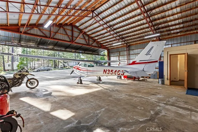 a view of a backyard with plants and trees