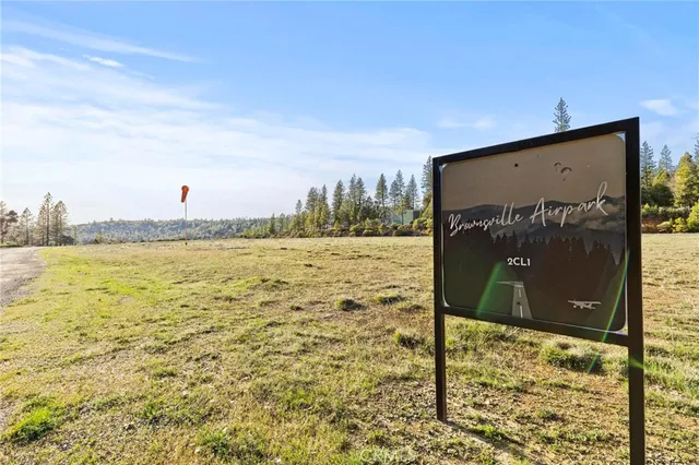 a view of a garden with plants