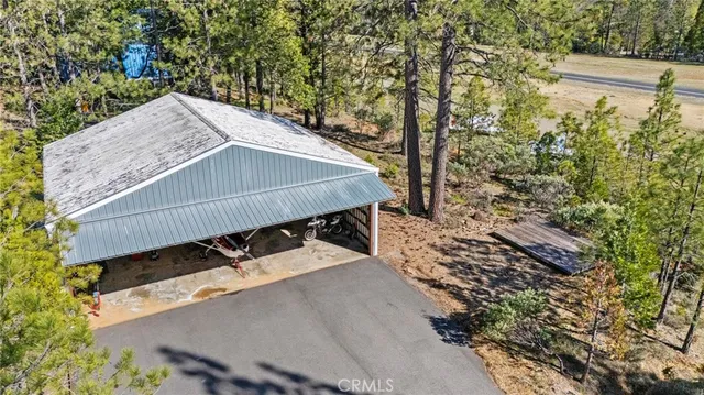 a view of a lush green forest with mountains in the background