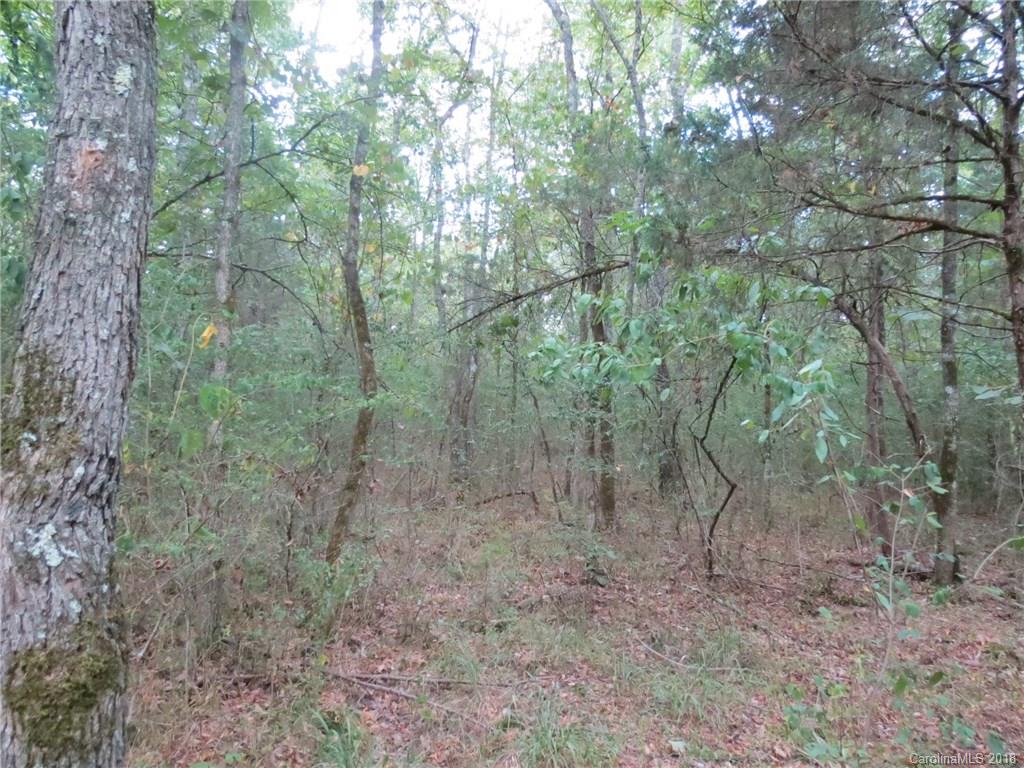 6-ac 6-ac Wooten Road Chester, SC 29706 - Photo 2 of 13 Gallery Image 2