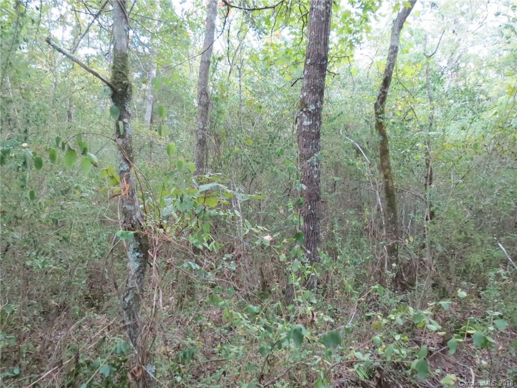 6-ac 6-ac Wooten Road Chester, SC 29706 - Photo 11 of 13 Gallery Image 11