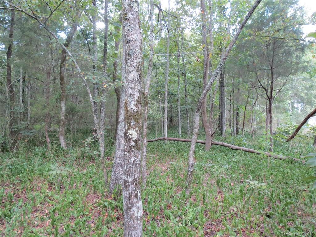 6-ac 6-ac Wooten Road Chester, SC 29706 - Photo 12 of 13 Gallery Image 12