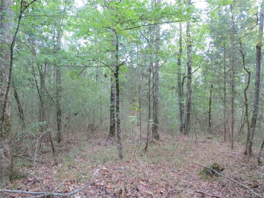 6-ac 6-ac Wooten Road Chester, SC 29706 - Photo 3 of 13 Gallery Image 3