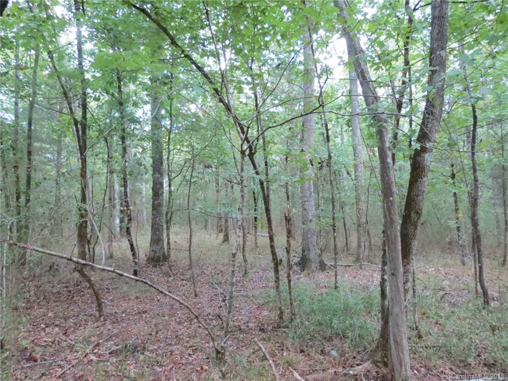 6-ac 6-ac Wooten Road Chester, SC 29706 - Photo 4 of 13 Gallery Image 4