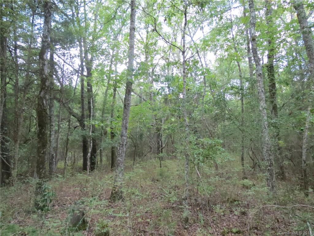 6-ac 6-ac Wooten Road Chester, SC 29706 - Photo 5 of 13 Gallery Image 5