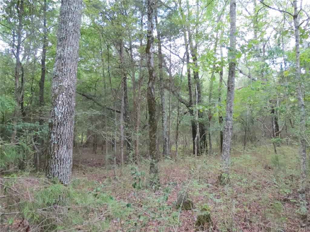 6-ac 6-ac Wooten Road Chester, SC 29706 - Photo 6 of 13 Gallery Image 6