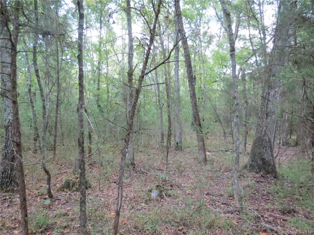 6-ac 6-ac Wooten Road Chester, SC 29706 - Photo 7 of 13 Gallery Image 7