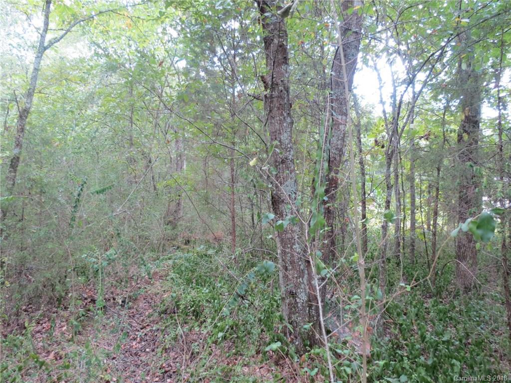 6-ac 6-ac Wooten Road Chester, SC 29706 - Photo 10 of 13 Gallery Image 10
