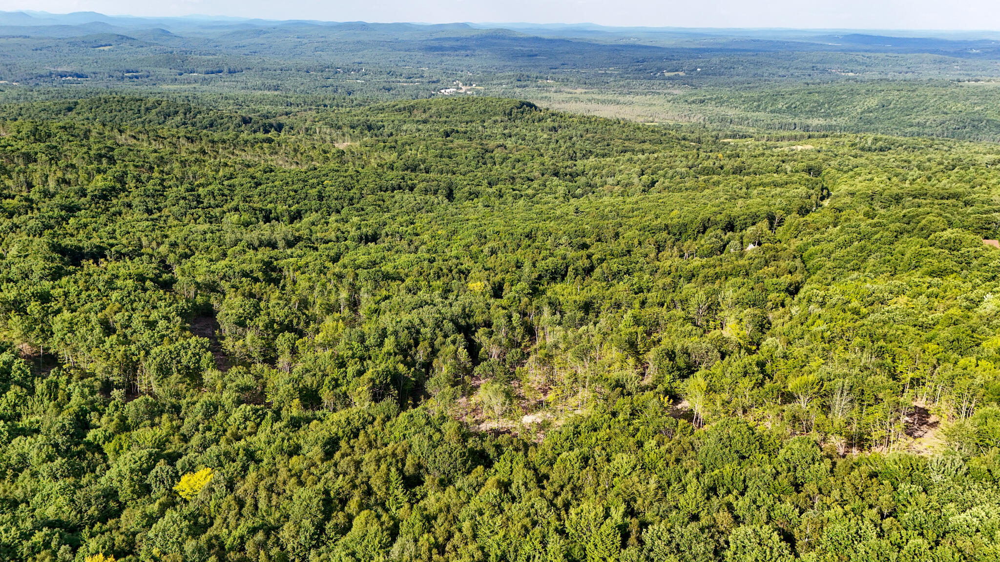 54.62 McAlister Road Buckfield, ME 04220 - Photo 29 of 80 dji_fly_20240718_171344_0094_17213512737