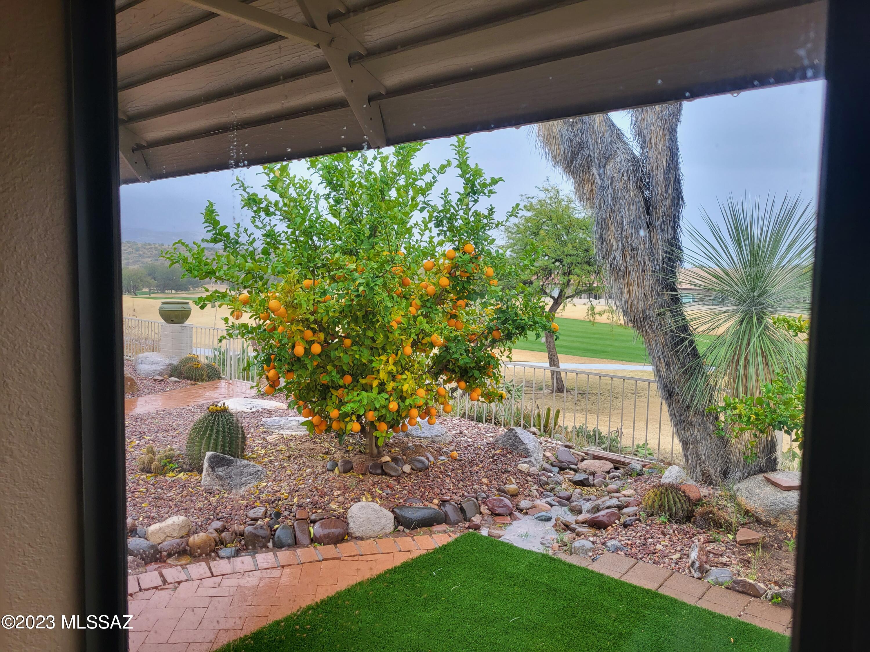 64399 East Squash Blossom Lane Tucson, AZ 85739 - Photo 12 of 22