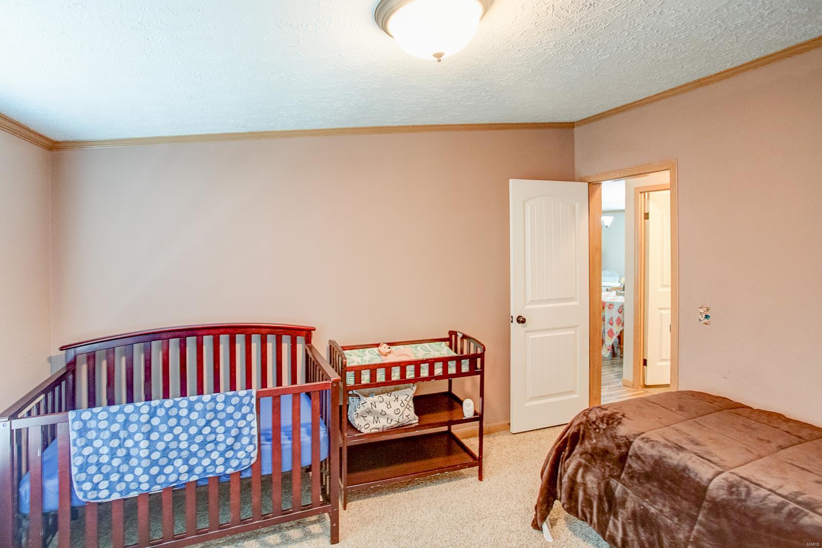 11763 Rose Road Trenton, IL 62293 - Photo 34 of 43 Gallery Image 34