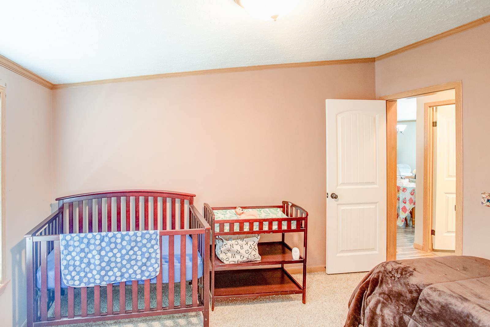 11763 Rose Road Trenton, IL 62293 - Photo 36 of 43 Gallery Image 36