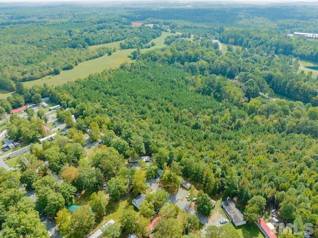 a view of a lush green forest with lots of trees