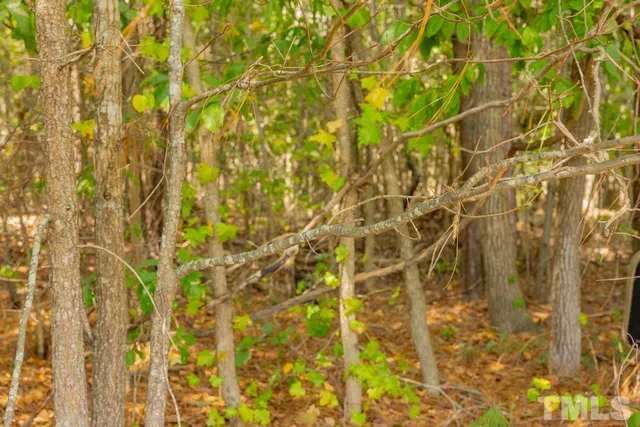 a bathroom with a shower curtain